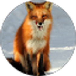 Profile photo of Alexis Buck