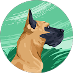 Profile photo of Mike C