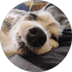 Profile photo of Erik Sanford