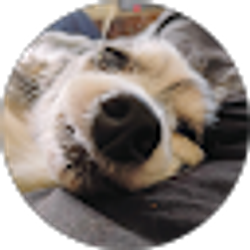 Profile photo of Erik Sanford