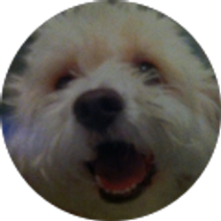 Profile photo of Kerry Nahas