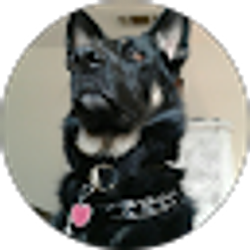 Profile photo of Victor Bockman