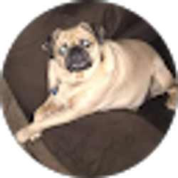 Profile photo of Tammy Underwood