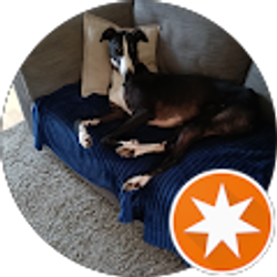 Profile photo of Sean