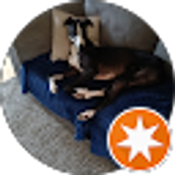 Profile photo of Sean