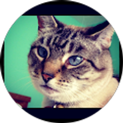 Profile photo of Stephanie Schiffbauer