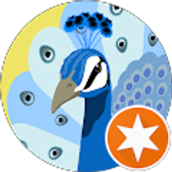 Profile photo of Robin H