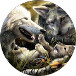 Profile photo of Melody dewitt-mullins