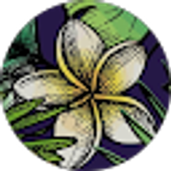 Profile photo of Kristynlei1979