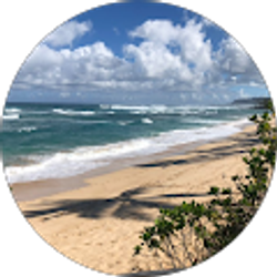 Profile photo of Carlos