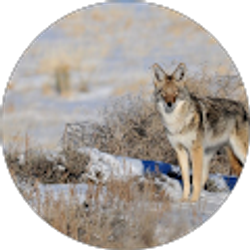 Profile photo of Cory Martens