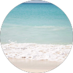 Profile photo of Lisa B