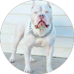 Profile photo of Zusy Love