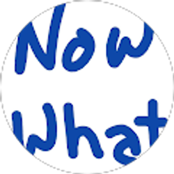 Profile photo of Bert J