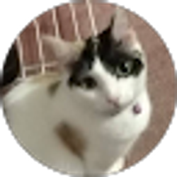 Profile photo of adam moen