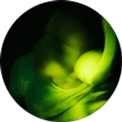 Profile photo of Kevin Martinez