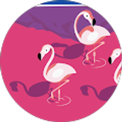 Profile photo of Shameena Johnson