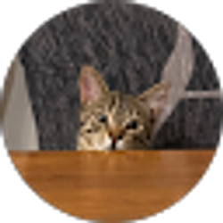 Profile photo of Adam Abouhany