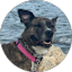 Profile photo of Kii