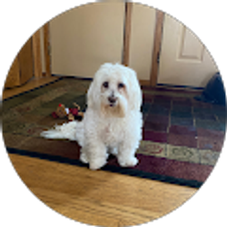 Profile photo of Tessa Jones