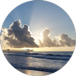 Profile photo of D Cerri