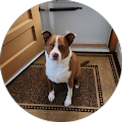 Profile photo of John Scala