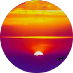 Profile photo of Isis S