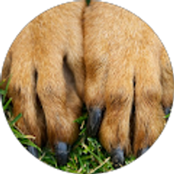 Profile photo of vicki saunders