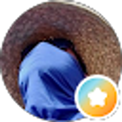 Profile photo of Noe