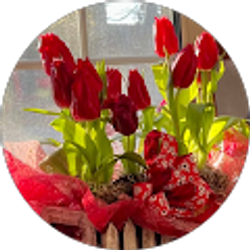 Profile photo of Joyce Stewart