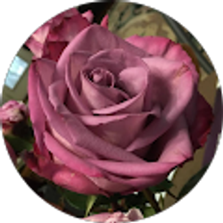 Profile photo of Alexa Richards