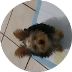 Profile photo of becky aguirre