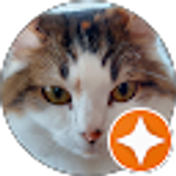 Profile photo of laura Dunne