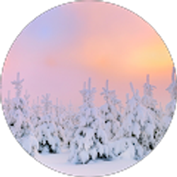 Profile photo of Will Baasch