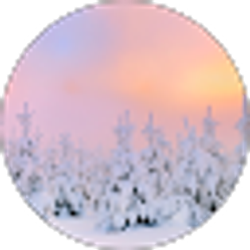 Profile photo of Will Baasch