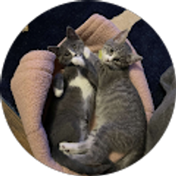 Profile photo of Rachael Connelly