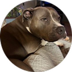 Profile photo of Chris Keyes