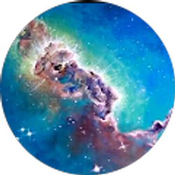 Profile photo of Vanessa Bean