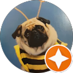 Profile photo of Sandra Gugliuzza