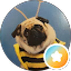 Profile photo of Sandra Gugliuzza