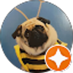 Profile photo of Sandra Gugliuzza