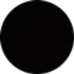 Profile photo of Franky ramirez