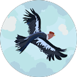 Profile photo of Eryon Mcfarrin