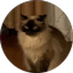 Profile photo of Artiom Fernandez
