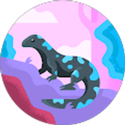 Profile photo of Sabian Levasseur