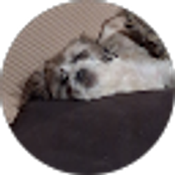 Profile photo of Glennie Clifton