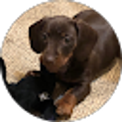 Profile photo of Roscoe Remington