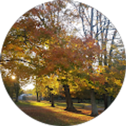 Profile photo of T Mumford