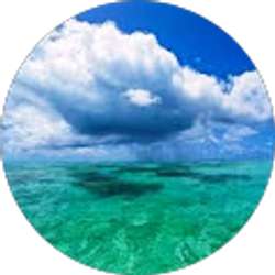 Profile photo of Troy young