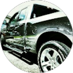 Profile photo of Terry Harrelson